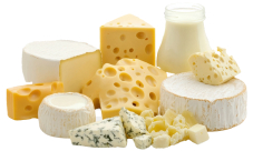 Dairy Products